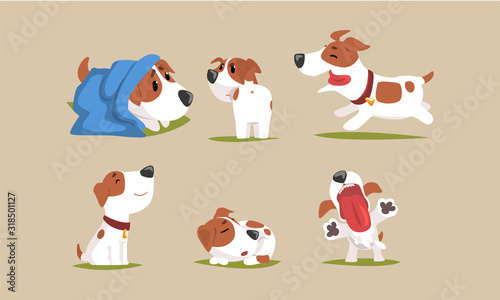 Cute Beagle Dog in Various Poses Collection, Funny Purebred Pet Animal Cartoon Character in Different Situations Vector Illustration
