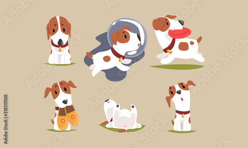 Cute Beagle Dog Cartoon Character Collection, Funny Purebred Pet Animal in Different Situations Vector Illustration