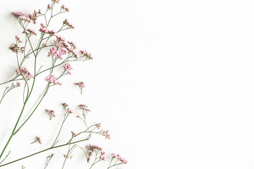 Flowers composition. Pink flowers on white background. Flat lay, top view