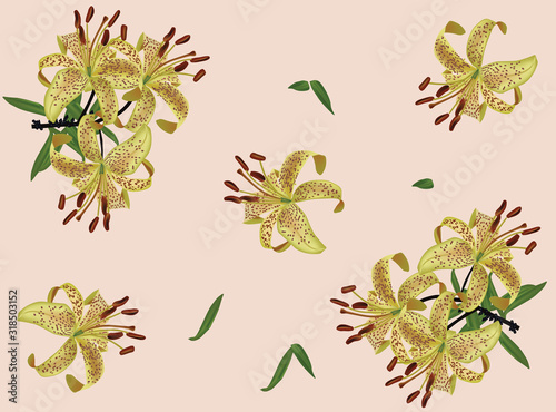 yellow spotted lily background