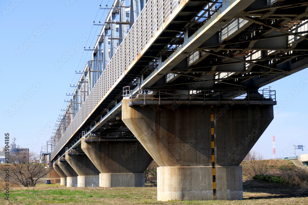 Obraz premium 江戸川に架かる武蔵野線の鉄橋