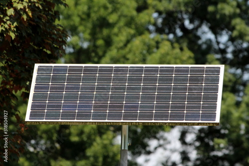 Small elongated solar panel used to power LED traffic sign mounted on top of strong metal pole in local public park surrounded with dense trees photo