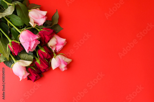 Romantic still life, red roses on a red background. Postcard Concept for Women's Day and Valentine's Day. Copy space.
