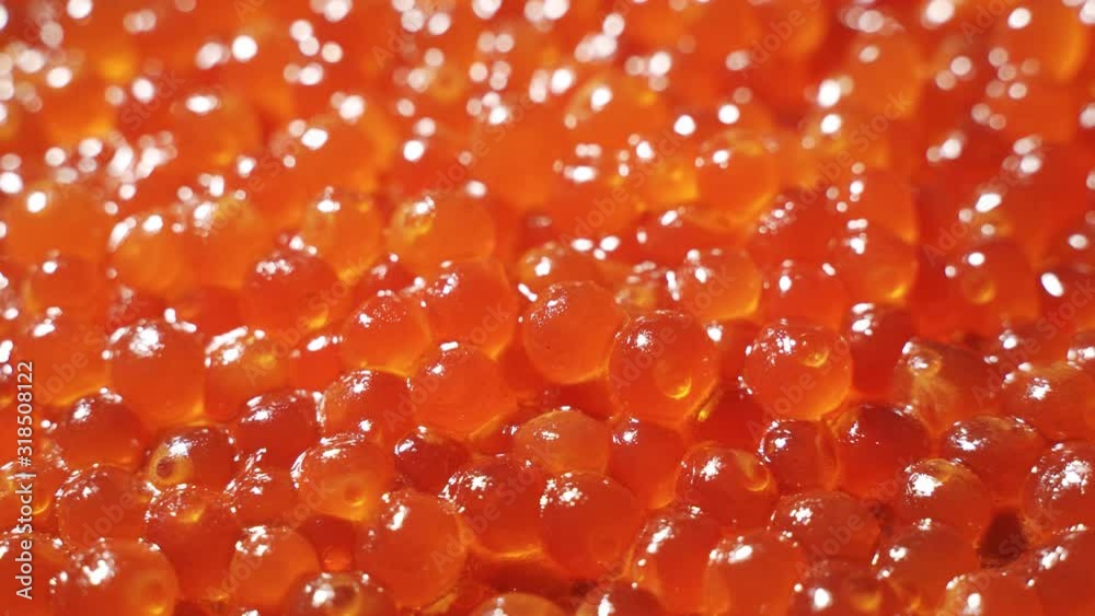 Close-up salmon caviar rotation.Texture of caviar. 4K UHD video Close-up salmon caviar rotation.Texture of caviar. 4K UHD video