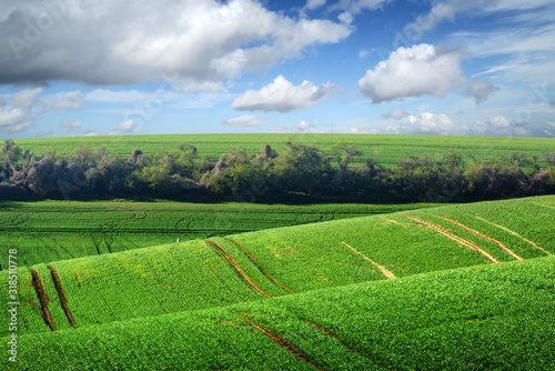 Picturesque rural landscape with green agricultural field and trees on spring hills. South Moravia region, Czech Republic