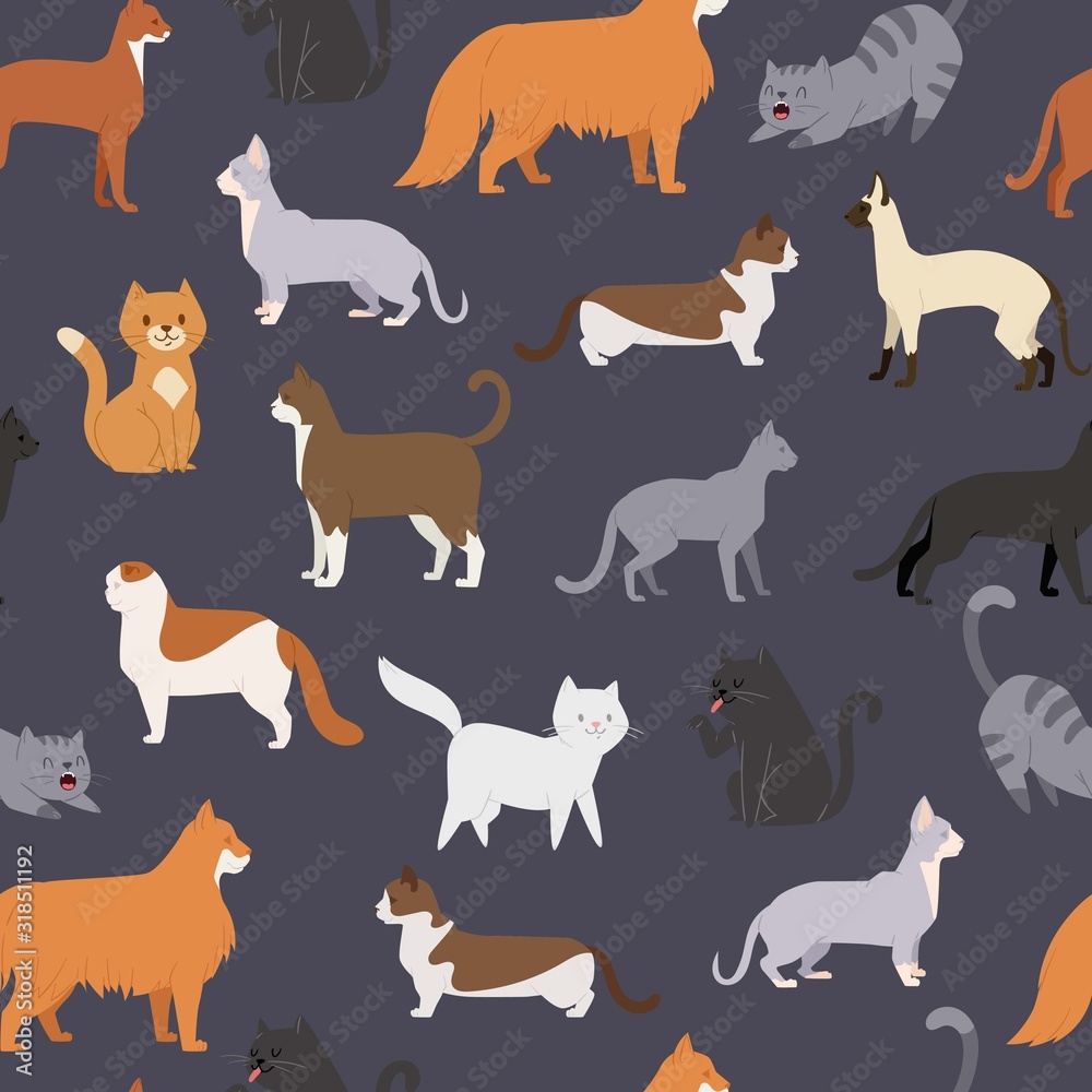 Cute cats of different breeds in various poses vector seamless pattern illustration. Cartoon kitten standing and sitting. Kitty and cats print backdrop for pet shop poster, wrapping or textile.