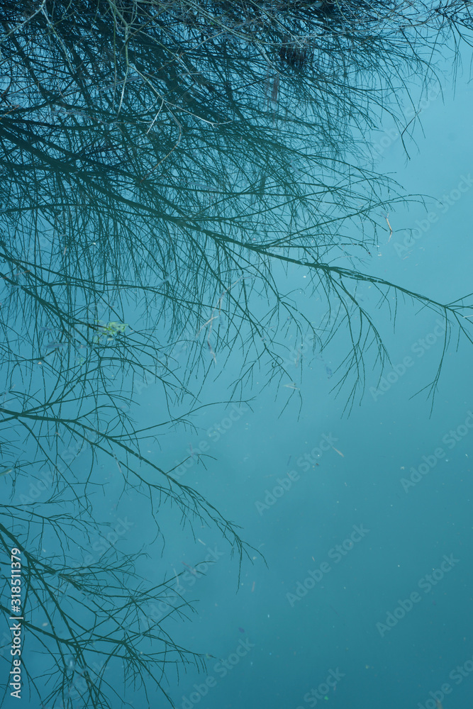 Abstract, moody landscape on a winter's day Abstract, moody landscape on a winter's day