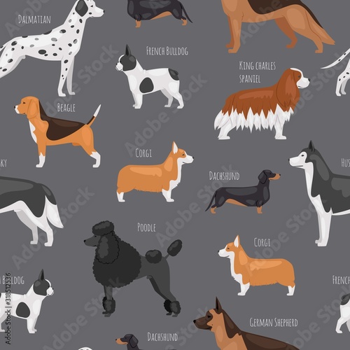 Dog breeds vector seamless pattern illustration. Big size dogs for home pets, bulldog, spaniel, poodel and corg, dalmatian and beagle. Friendly dogs in cartoon style with its names background.