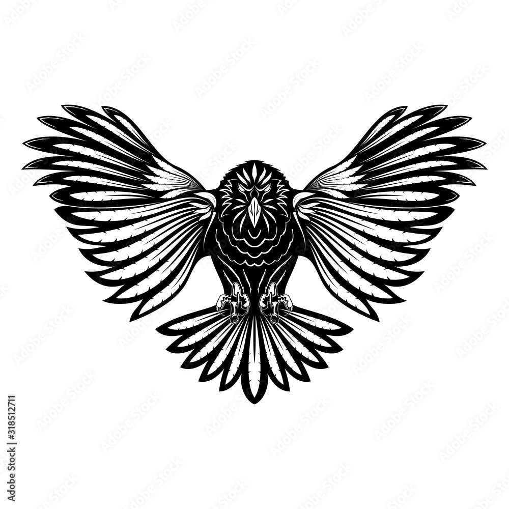 Hawk_4 Hawk_4
