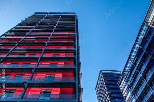 Fototapeta Naklejka Na Ścianę i Meble -  Black Swan à Strasbourg