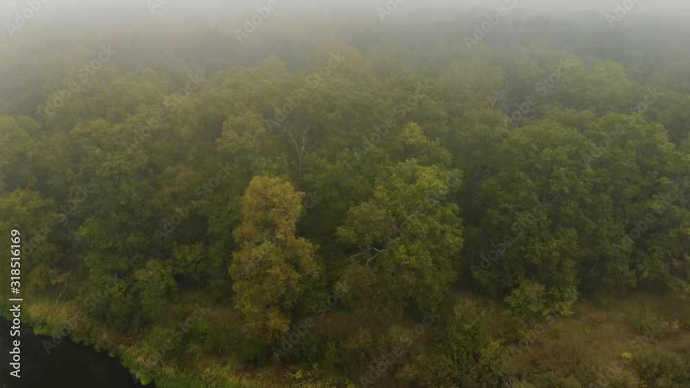 Charming autumn forest in the morning in the fog by the river. Aerial shot of nature Charming autumn forest in the morning in the fog by the river. Aerial shot of nature