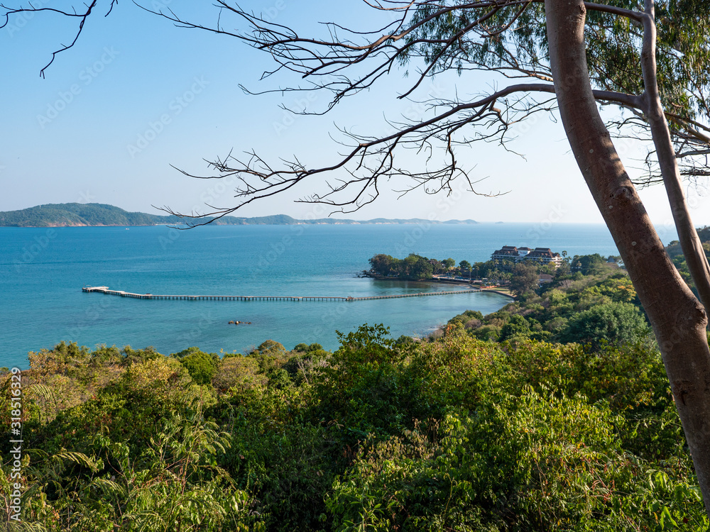 A wooden pier in a small harbor