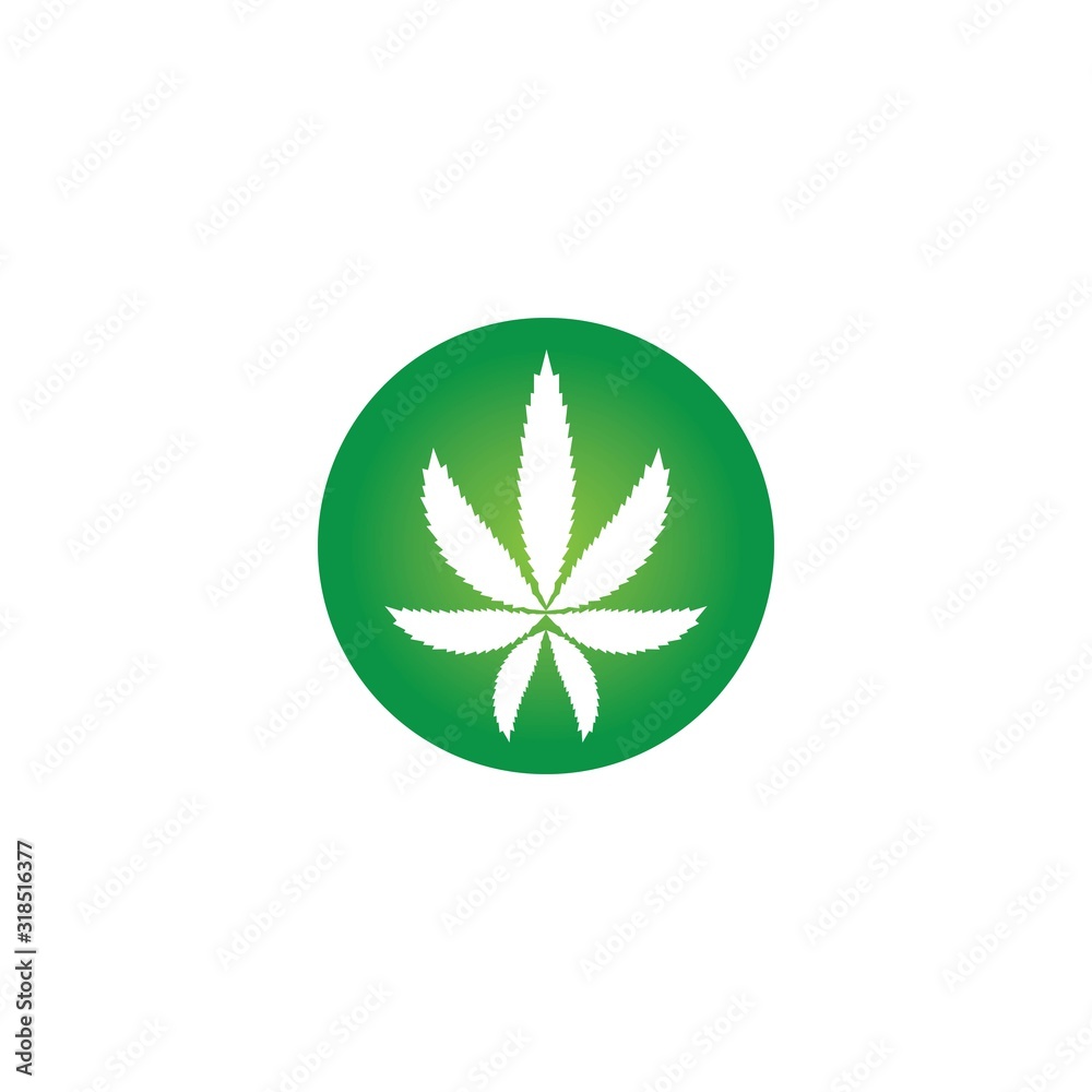 Vector illustration of cannabis leaves green with white background