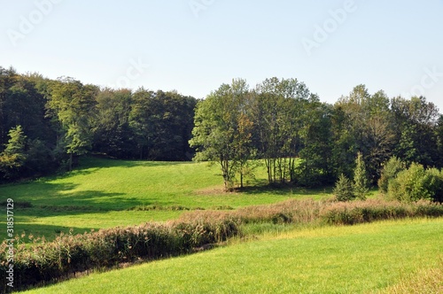 hemsbach und Waldnerturm photo