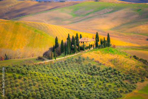 Tuscany, Crete Senesi rural sunset landscape. Countryside farm, cypresses trees, green field, sun light hitting the hill. Siena, Italy.