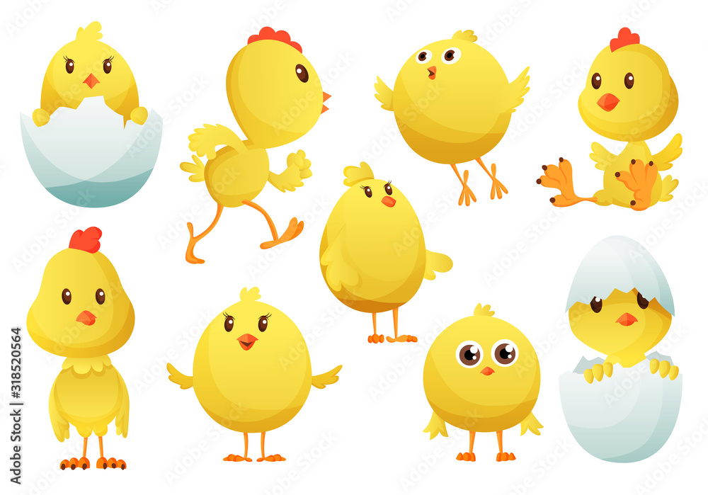 Cute cartoon chicken set. Funny yellow chickens in different poses, vector illustration. Collection of cute yellow chicks. Vector illustration of little chickens for children Cute cartoon chicken set. Funny yellow chickens in different poses, vector illustration. Collection of cute yellow chicks. Vector illustration of little chickens for children