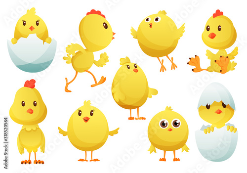 Cute cartoon chicken set. Funny yellow chickens in different poses, vector illustration. Collection of cute yellow chicks. Vector illustration of little chickens for children
