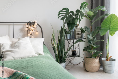 cosy light bedroom with tropical flowers decoration