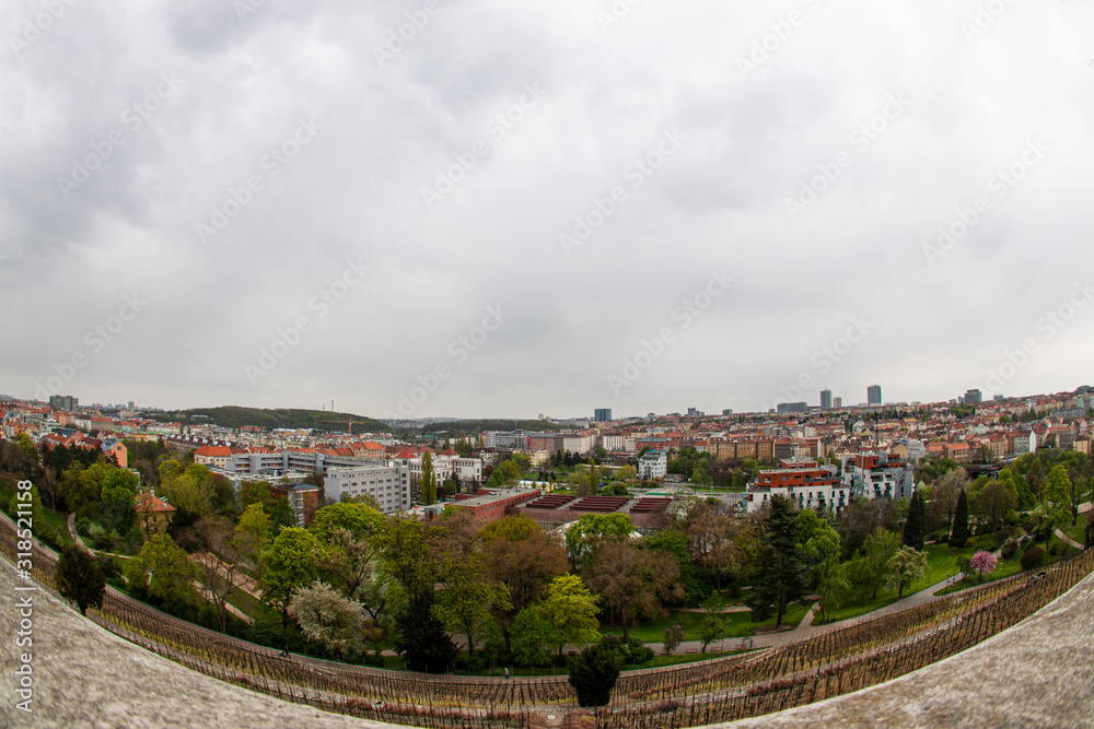 Wine Fields in Prague and view to Park and housing district