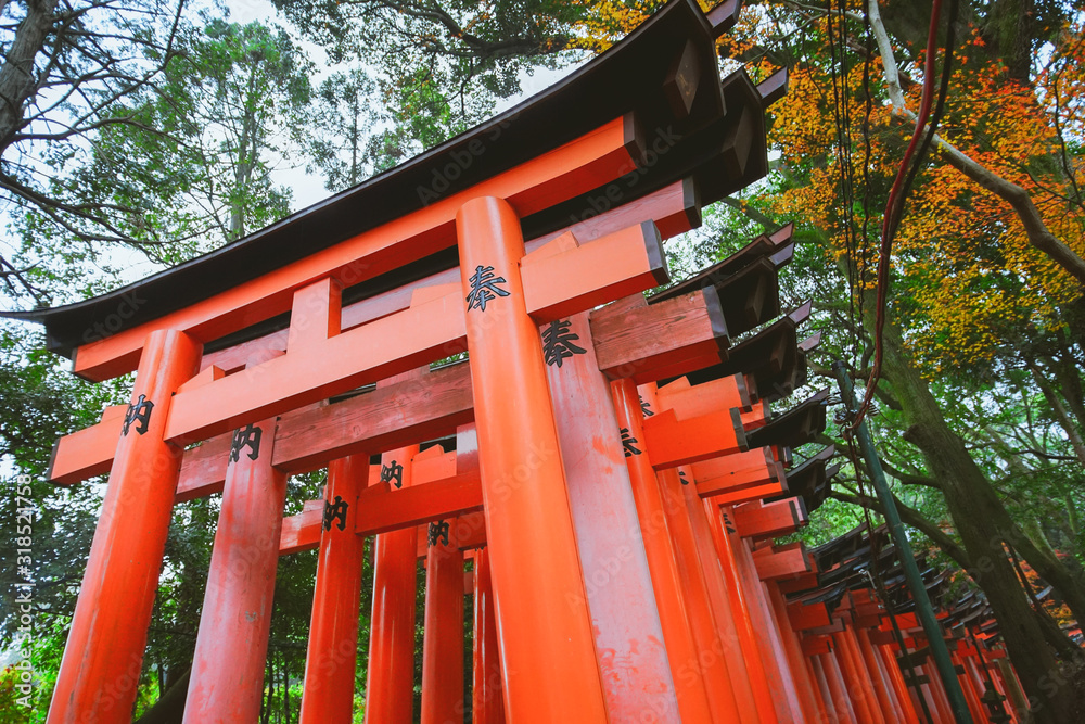 Fushimi Inari Taisha Torii gates