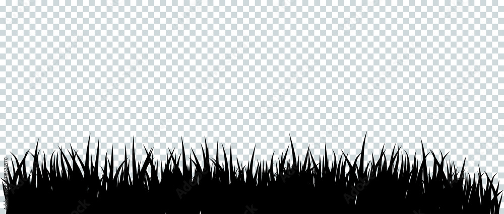 © Quarta - Green grass border on transparent background. © Quarta - Green grass border on transparent background.