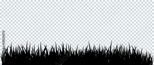 Green grass border on transparent background.