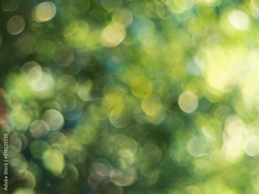 Obraz premium Green light bokeh nature background. Natural background. Abstract blurred background.