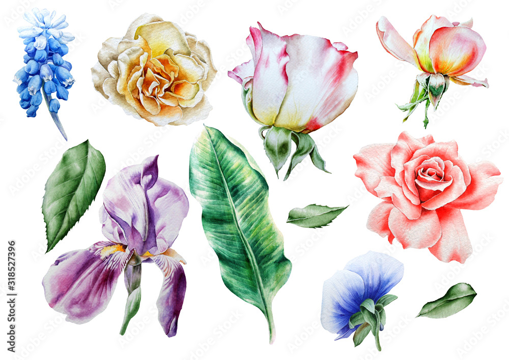 Set with watercolor flowers.   Hand drawn.