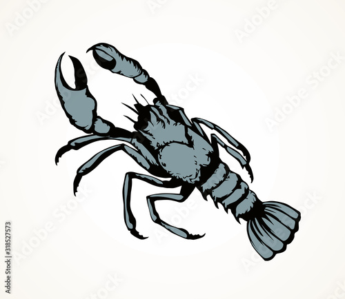 Lobster. Vector drawing