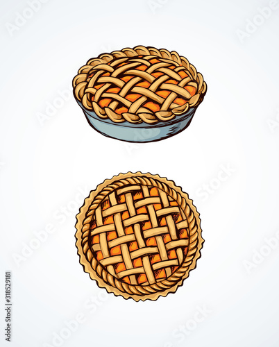 Pie. Vector drawing