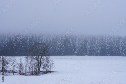 Winterlandschaft