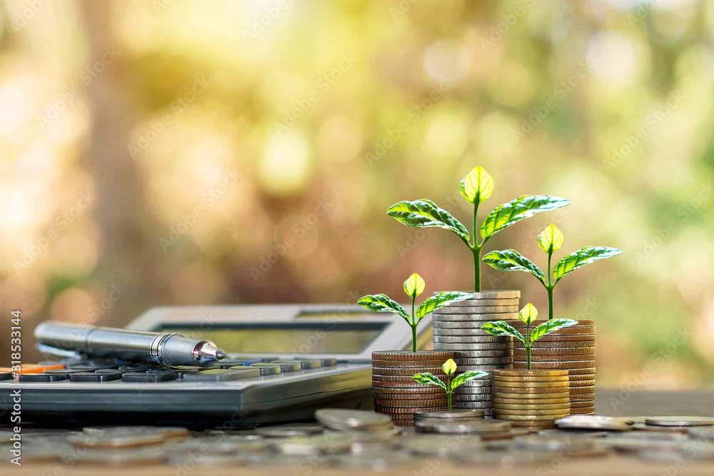 Plant trees on coins and calculators, financial accounting concepts and save money. Plant trees on coins and calculators, financial accounting concepts and save money.