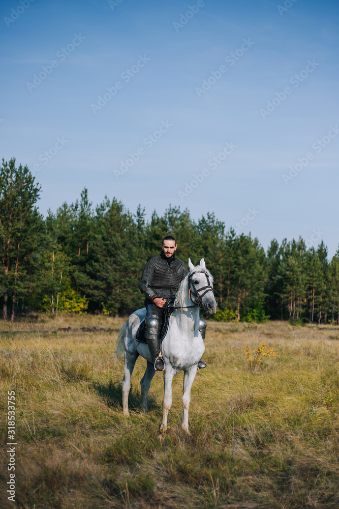 Knight on horseback. Armored guy with a white horse. A man in chain mail. Image of a warrior Knight on horseback. Armored guy with a white horse. A man in chain mail. Image of a warrior