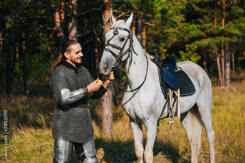 Quadro em tela A knight strokes a white horse