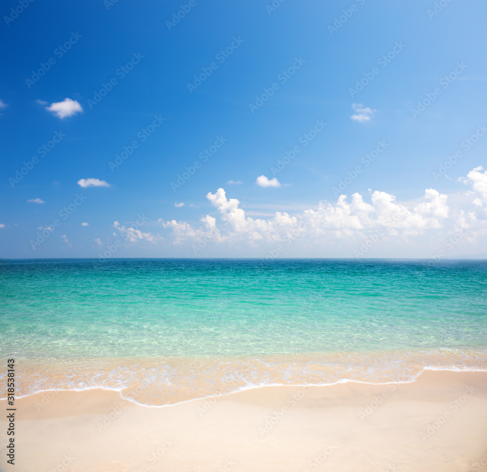 Fototapeta premium beautiful beach and tropical sea