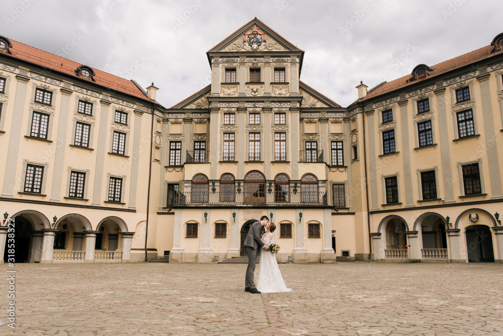 Beautiful elegant couple of newlyweds in love on the background of an old building and paving stones, European wedding