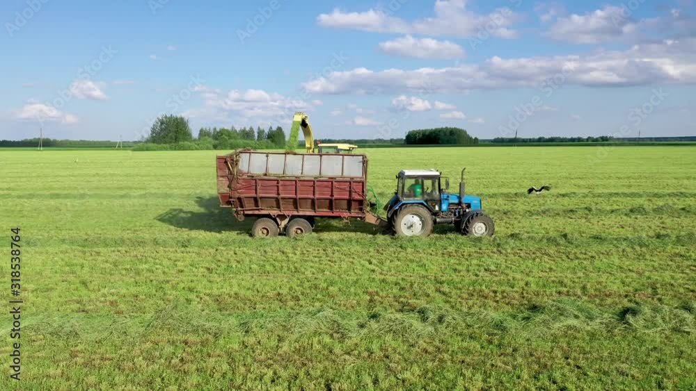 Harvester Collects Mown Grass And Pours It Into Tractor Trailer Aerial Side View Harvester Collects Mown Grass And Pours It Into Tractor Trailer Aerial Side View