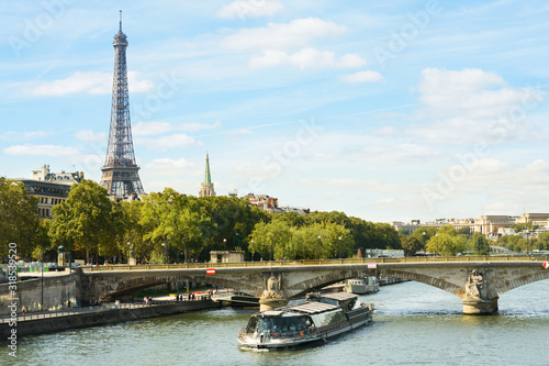 Cityscape with Eiffel tower, cruise boat, buildings, bridge © Karina