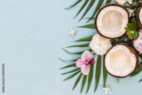 Tropical green leaves palm fronds and coconuts