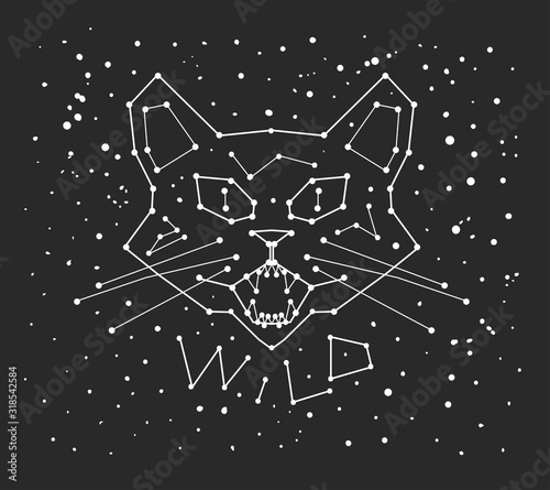 mystical constellation with cat, astrology vector illustration