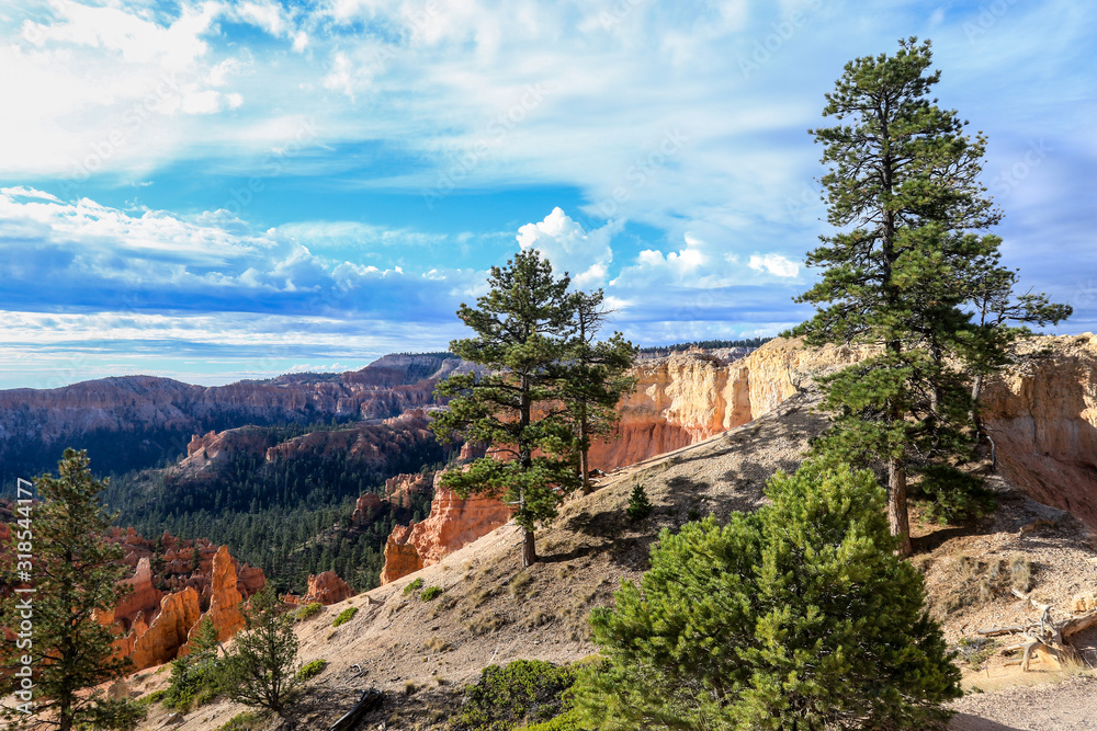 Fototapeta premium Panoramic View to the Nature of the Bryce Canyon National Park, USA
