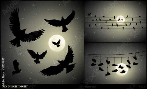 Set of vector illustration with silhouettes of flying birds and shoes on moonlit night. Flock of pigeons in sky. Shoes hanging on wires. Full moon in starry sky
