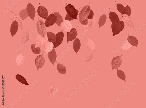  Coral pink background of autumn leaves. Border frame of stylized fall leaves. High detail. Can be used for wallpaper, promo poster, pattern, print, fabric etc.