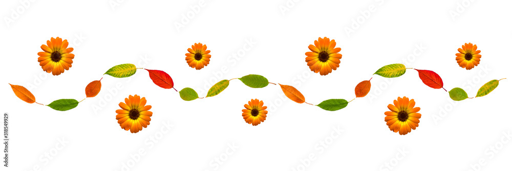 Pattern of autumn leafs and flowers on white background. High detail. Can be used for wallpaper, pattern, art print, fabric etc. Pattern of autumn leafs and flowers on white background. High detail. Can be used for wallpaper, pattern, art print, fabric etc.