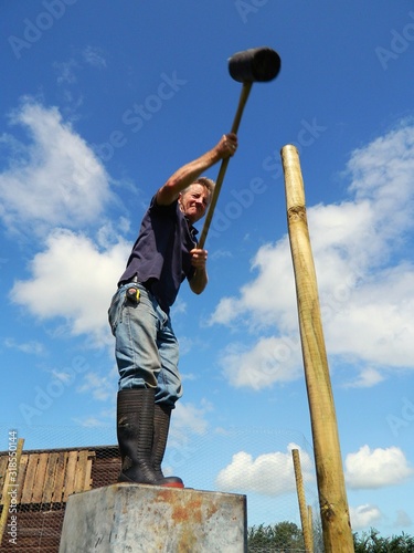 Fototapeta Low Angle View Of Mature Farmer Hammering Wooden Post While Standing Against Sky