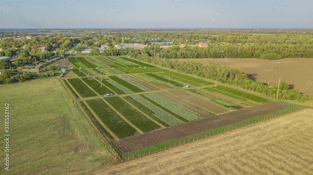 Nursery of ornamental plants in a rural country area