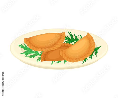 Fried Brazilian Patty Cakes Served on Plate with Greenery Vector Illustration