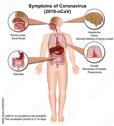 coronavirus medical vector illustration with description isolated on white background