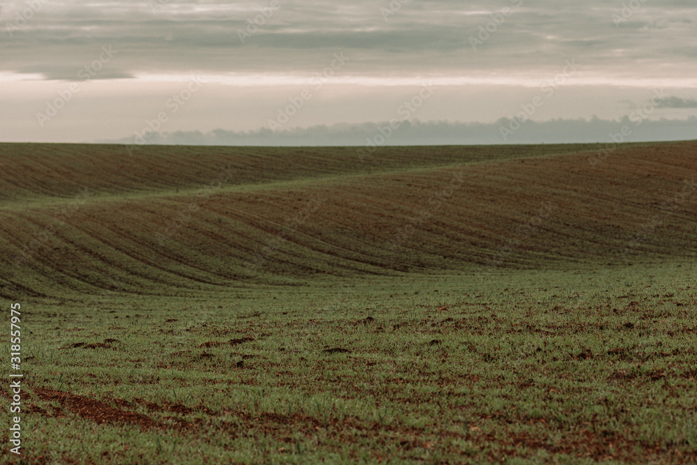 Plowed field in Alentejo