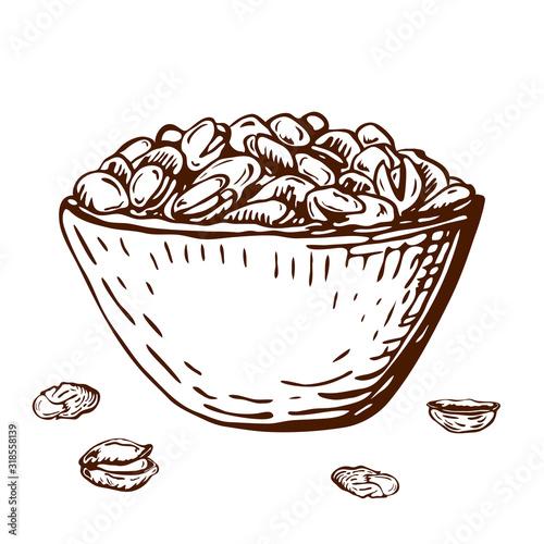 hand drawn illustration of pistachio nuts in bowl isolated on white. vector ink engraved nuts drawing in vintage style. open pistachios, nutshell and pile of nuts on plate.healthy snack beer appetizer